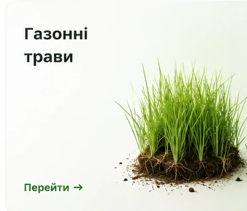 Газонні трави